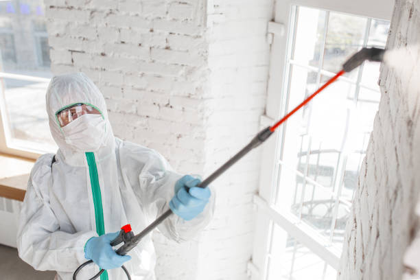 Best Real Estate Mold Inspection  in Mesa Del Caballo, AZ