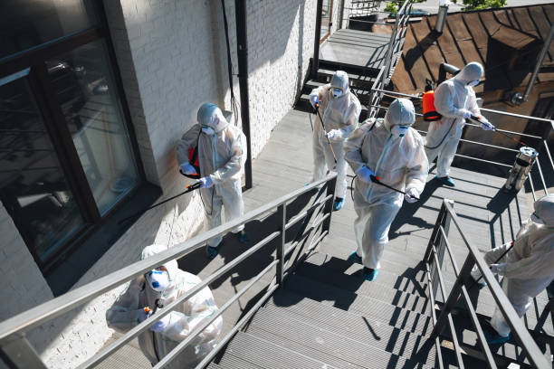 Best Biohazard Mold Removal  in Mesa Del Caballo, AZ