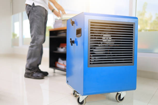 Best Industrial Mold Remediation  in Mesa Del Caballo, AZ
