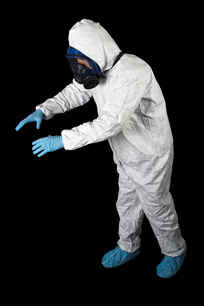  Mesa Del Caballo, AZ Mold Removal Pros