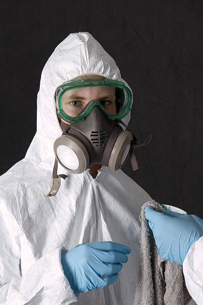 Best Mold Documentation for Insurance Claims  in Mesa Del Caballo, AZ